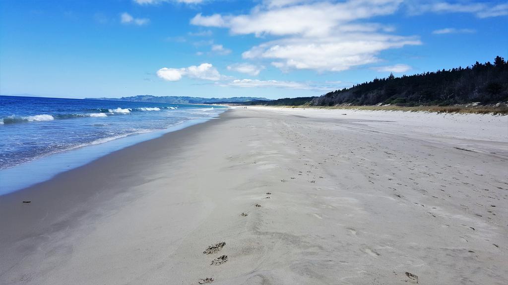 Close To Beach Apartment Auckland Luaran gambar